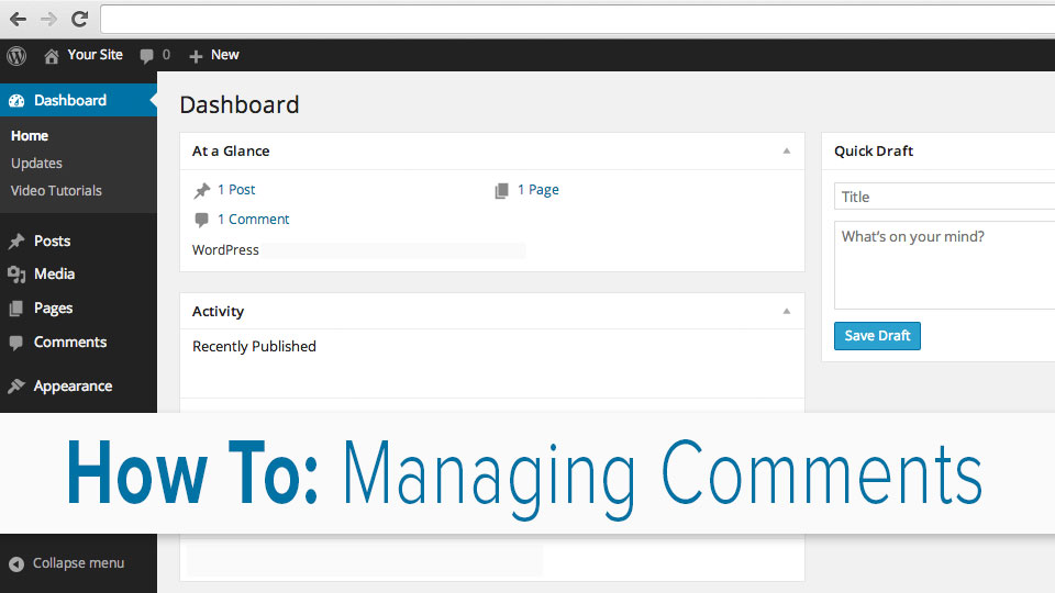 Video Tutorial: Managing Comments